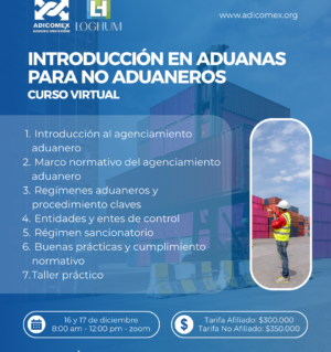 Introducción en Aduanas para No Aduaneros